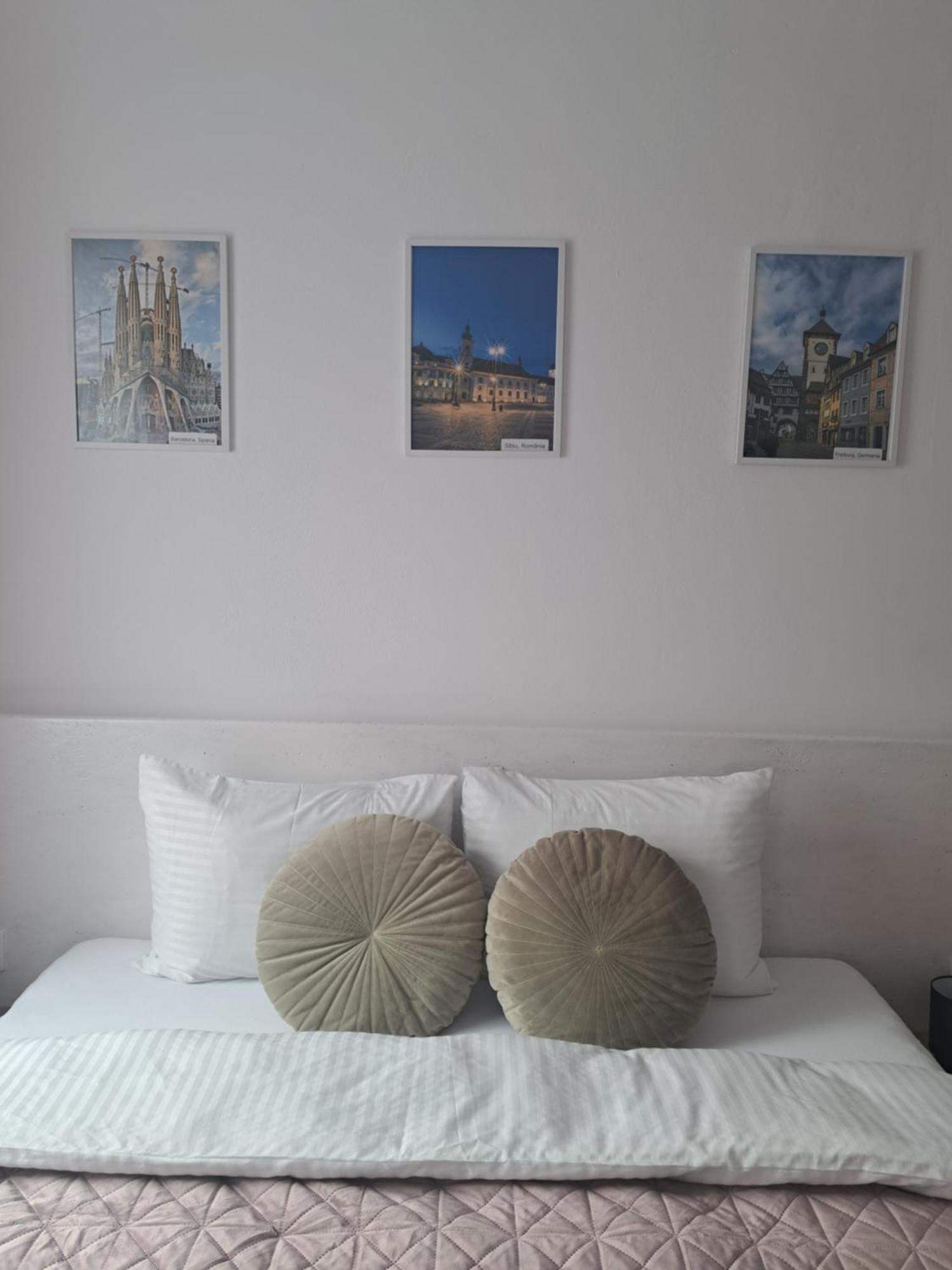 Studio With Free Parking In The Center - Deliamo 3 Sibiu Extérieur photo